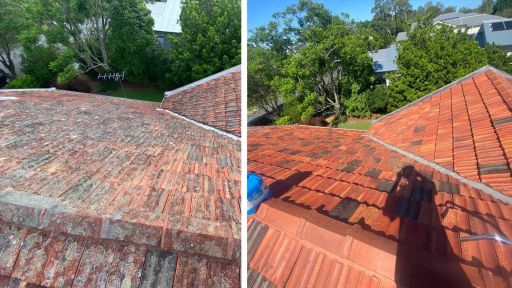 Terracotta tile roof before and after roof cleaning in Brisbane